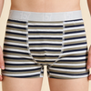 OEM Boys' Multi-Tone Striped Performance Boxer Briefs