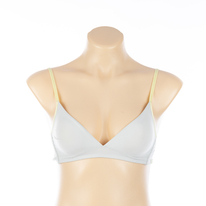 OEM Lady's Nylon Bra (JMC25048)