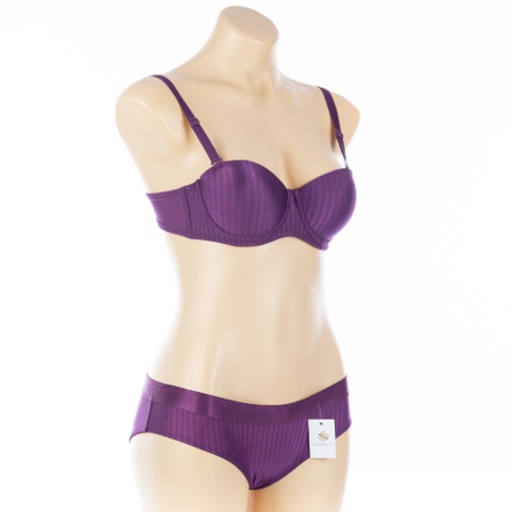 Plus Size Womens Bra Set.png