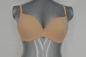 High Quality OEM Plus Size Lady Underwear Women Nylon Bra (JMC25002)