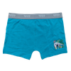 OEM Boy's Dino Dude Surf-Style Trunk