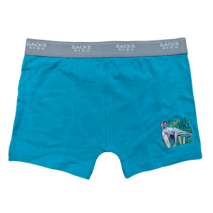 OEM Boy's Dino Dude Surf-Style Trunk
