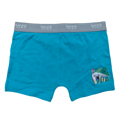OEM Boy's Dino Dude Surf-Style Trunk