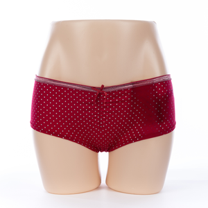 Womens Nylon Briefs (JMC23007)