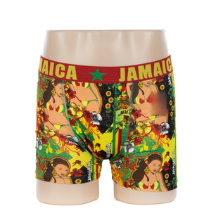 Customized Fashion Mens Print Polyester Boxer (JMC11034)