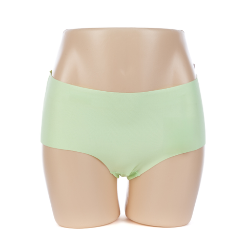 Solid Nylon Briefs For lady (JMC24169)