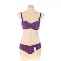 High Quality Plus Size Women's Bra Set (JMC25036)