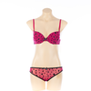 Ladies Bra and Brief Set (JMC25072)