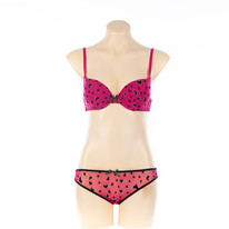 Ladies Bra and Brief Set (JMC25072)